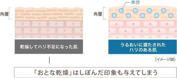 「おとな乾燥」はしぼんだ印象も与えてしまう