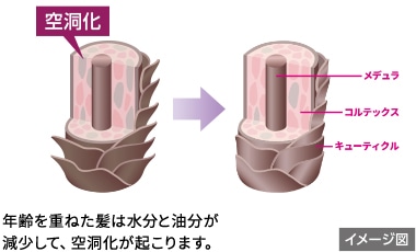 年齢を重ねた髪は水分と油分が減少して、空洞化が起こります。