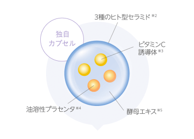 ナノカプセルイメージ