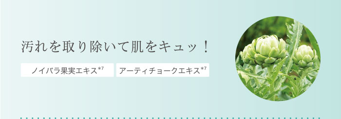 汚れを取り除いて肌をキュッ！