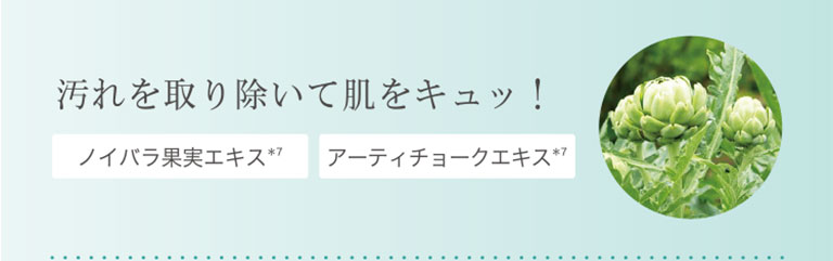 汚れを取り除いて肌をキュッ!