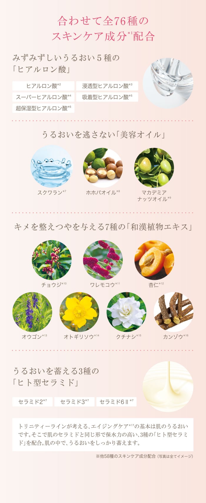 合わせて全76種のスキンケア成分*1配合