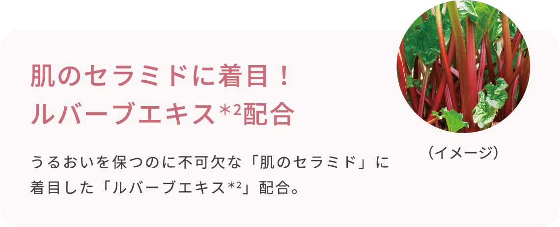 肌のセラミドに着目