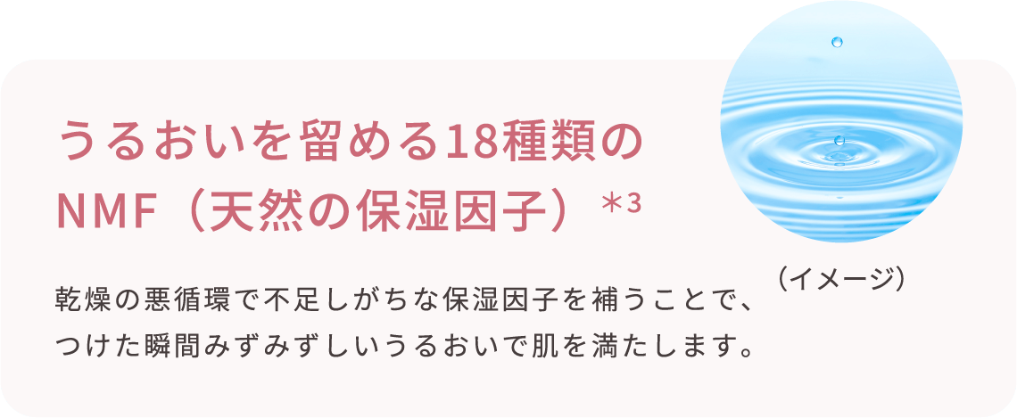 うるおいを留める18種類のNMF(天然の保湿因子)