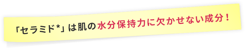 「セラミド*」は肌の水分保持力に欠かせない成分!