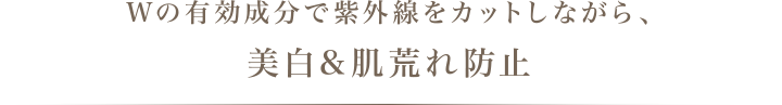 Wの有効成分で紫外線をカットしながら、美白&肌荒れ防止