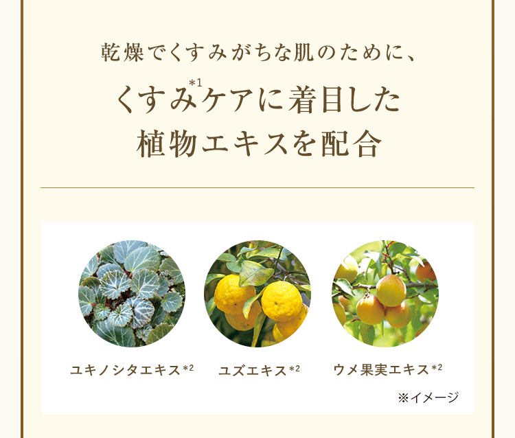 乾燥でくすみがちな肌のために、くすみケアに着目した植物エキスを配合