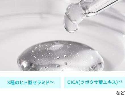 3種のヒト型セラミド＊2 CICA(ツボクサ葉エキス)＊3 など