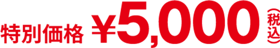 特別価格5,000円 お一人様2点まで