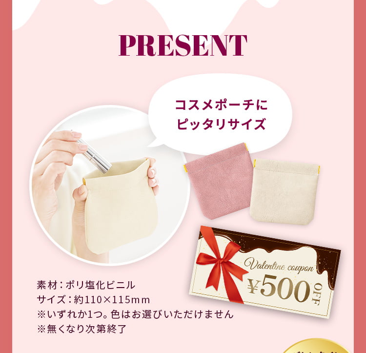 PRESENT オリジナルミニポーチ コスメポーチにピッタリサイズ 素材：ポリ塩化ビニル サイズ：約110×115mm ※いずれか1つ。色はお選びいただけません ※無くなり次第終了