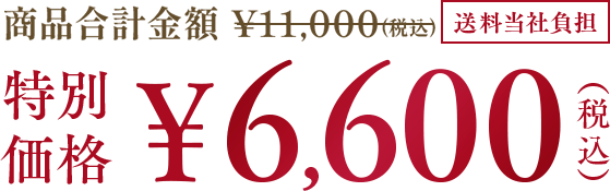 合計金額 税込11,000円を特別価格 税込6,600円 送料当社負担
