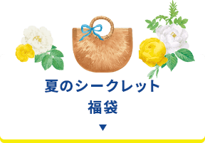 夏のシークレット福袋