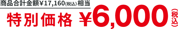 商品合計金額税込17,160円 特別価格税込6,000円