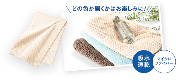 全3色 どの色が届くかはお楽しみに！